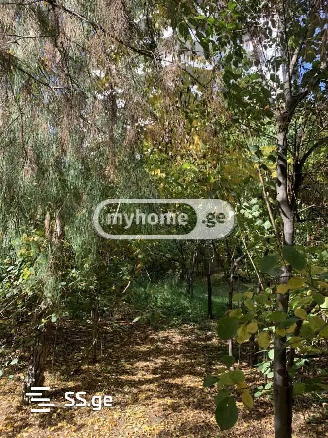 Non-Agricultural Plot For Sale In Vake view 1