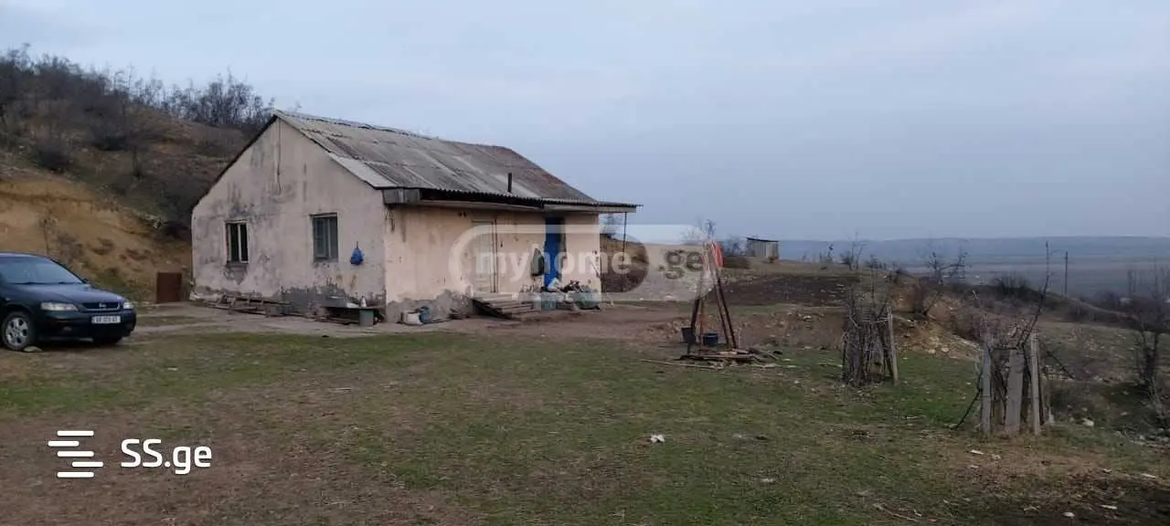იყიდება Agricultural Plot In Sagarejoში view 1
