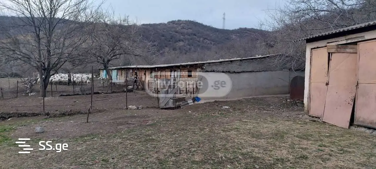 იყიდება Agricultural Plot In Sagarejoში view 4