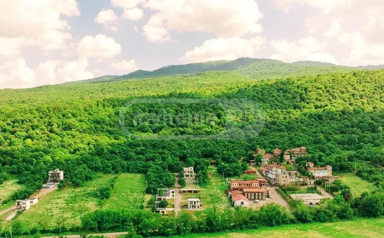 10+ Room Hotel For Sale In Telavi view 2