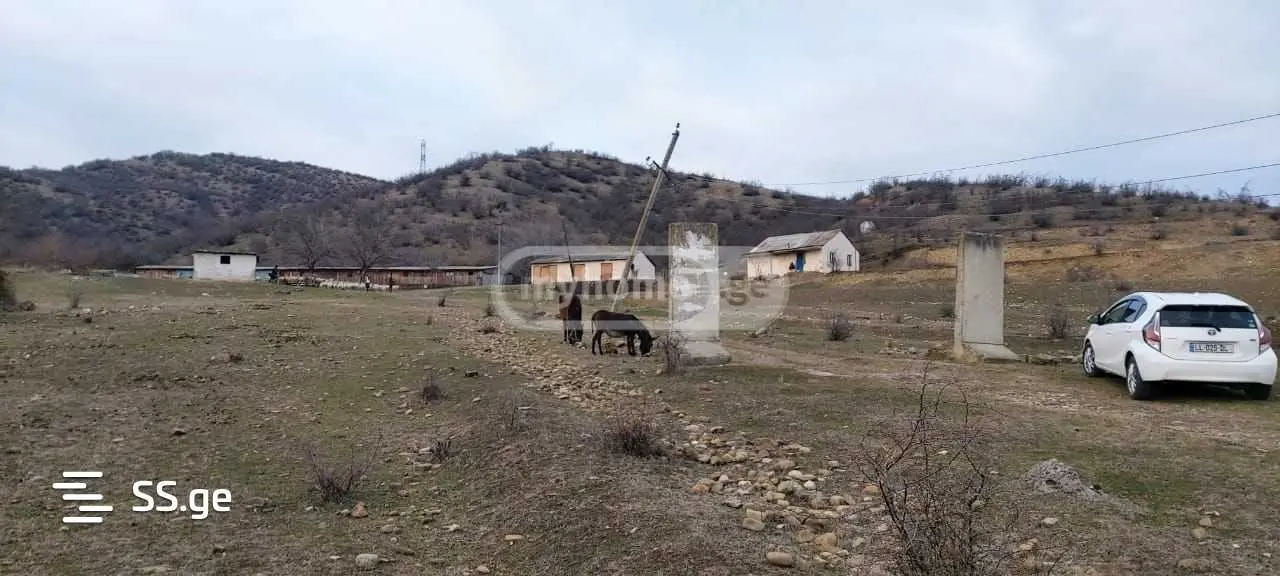 იყიდება Agricultural Plot In Sagarejoში view 3