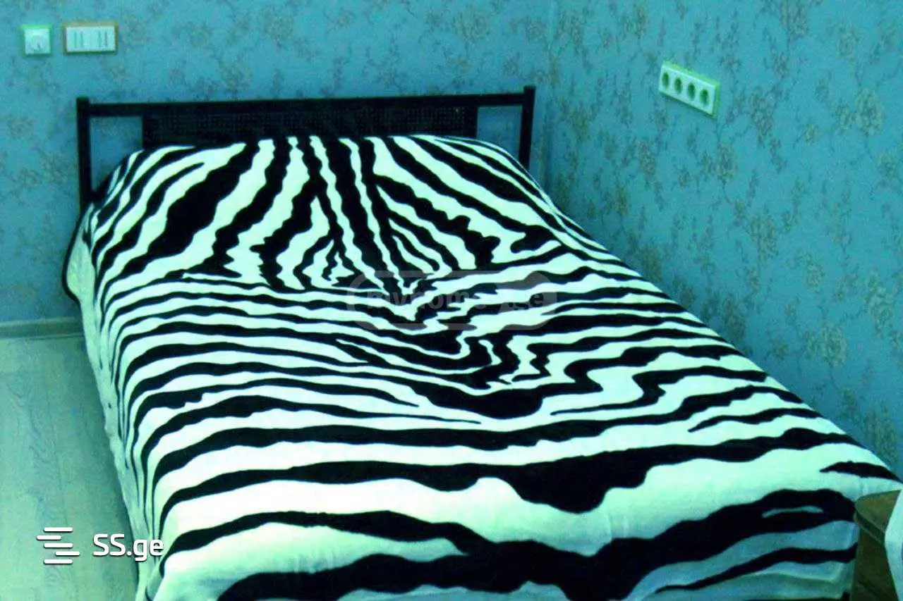 3 Room Apartment For Rent In Didube view 4