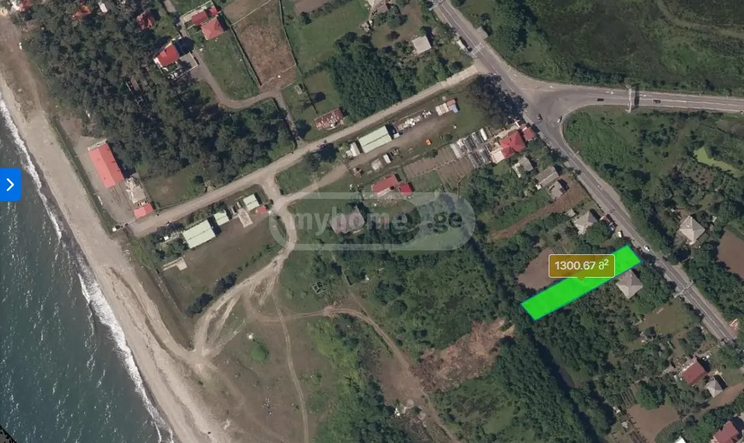 იყიდება Agricultural Plot In Grigoleti, In Lanchkhuti Municipalityში view 5