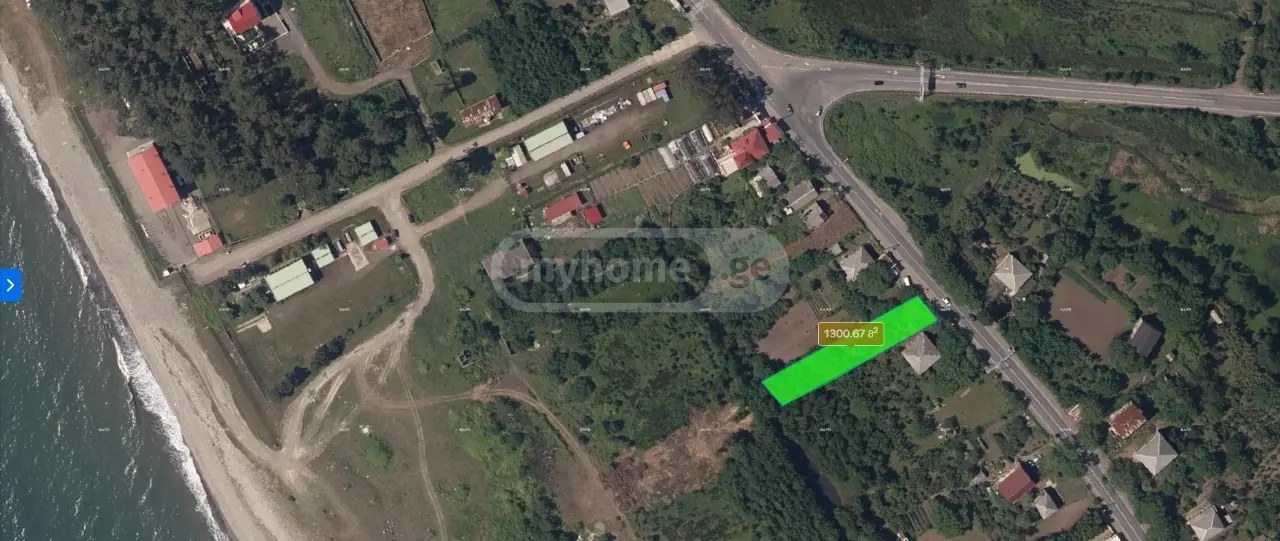 იყიდება Agricultural Plot In Grigoleti, In Lanchkhuti Municipalityში view 6