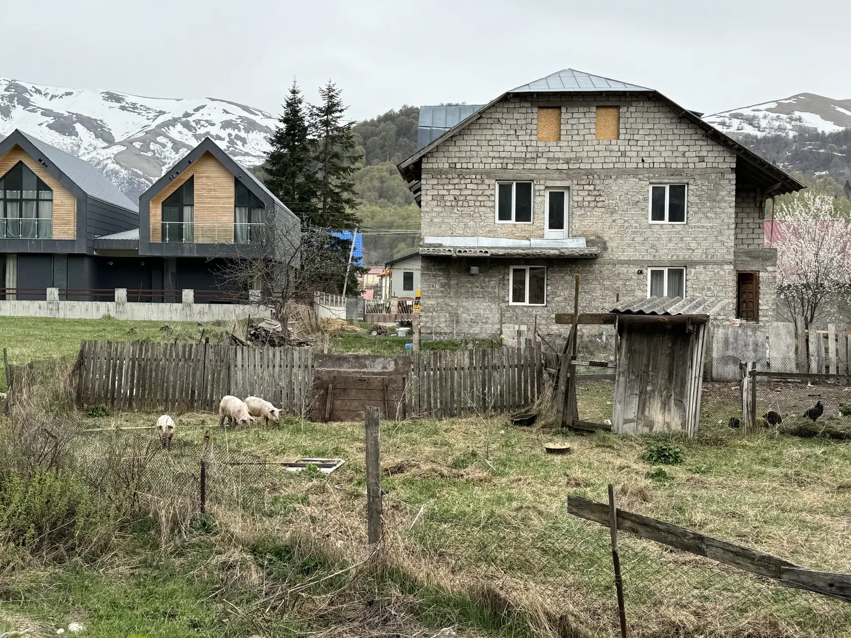 Agricultural Plot For Sale In Bakuriani view 5