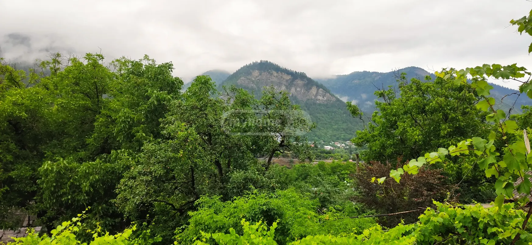 3 Room Private House Daily Rent In Borjomi view 1