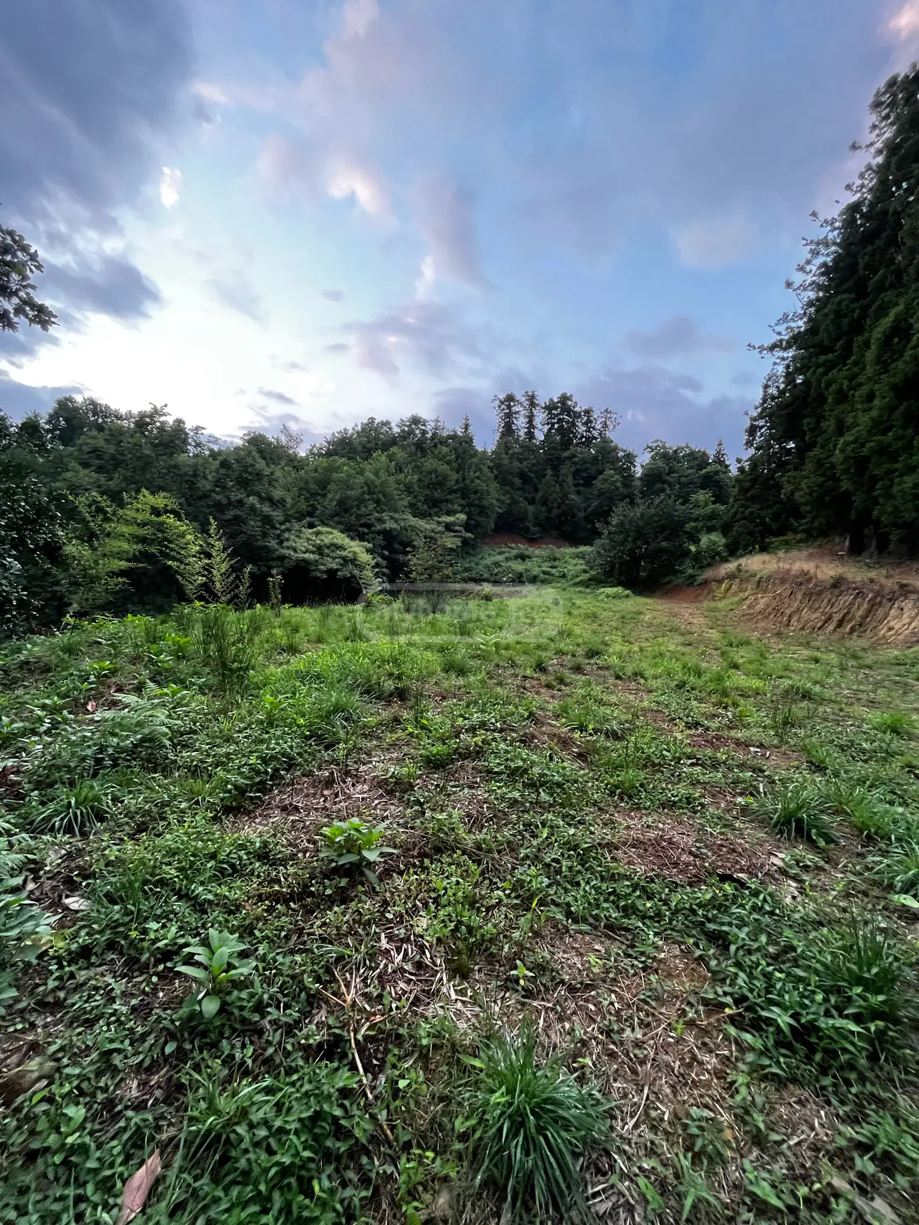 იყიდება Investment / For Construction Plot In Kapreshumi, In Khelvachauri Municipalityში view 2
