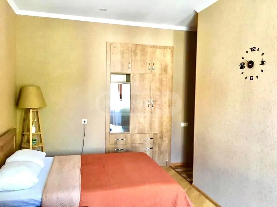 1 Room Apartment Daily Rent In Borjomi view 10