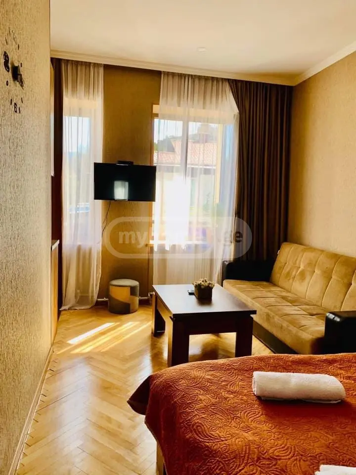 1 Room Apartment Daily Rent In Borjomi view 7