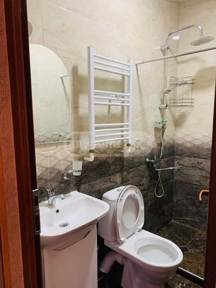 1 Room Apartment Daily Rent In Borjomi view 9