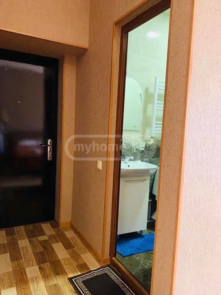 1 Room Apartment Daily Rent In Borjomi view 11
