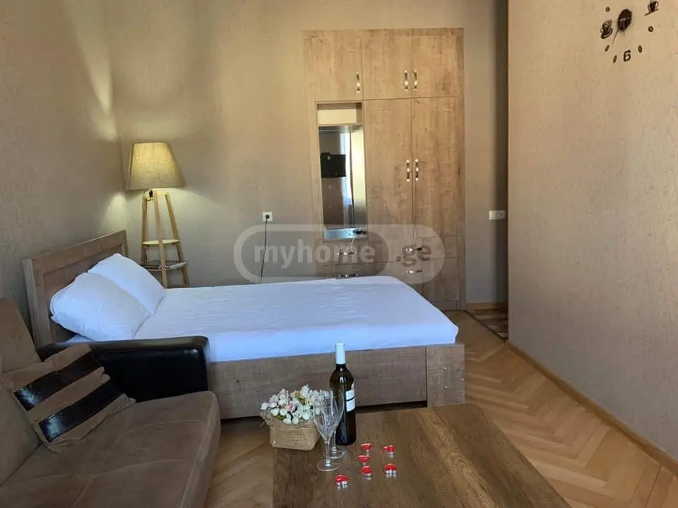 1 Room Apartment Daily Rent In Borjomi view 6
