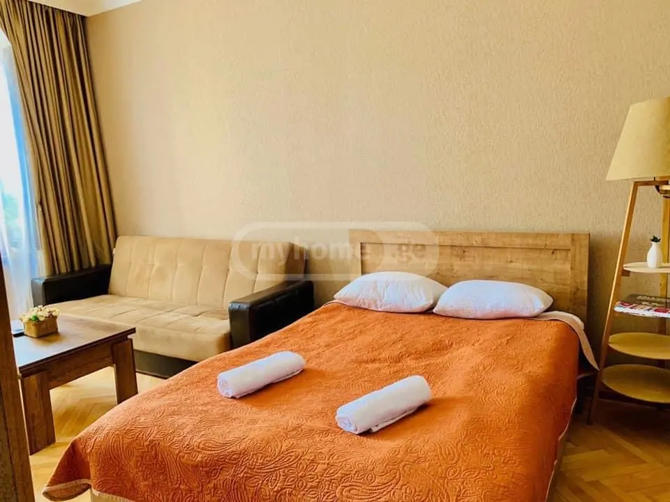 1 Room Apartment Daily Rent In Borjomi view 8