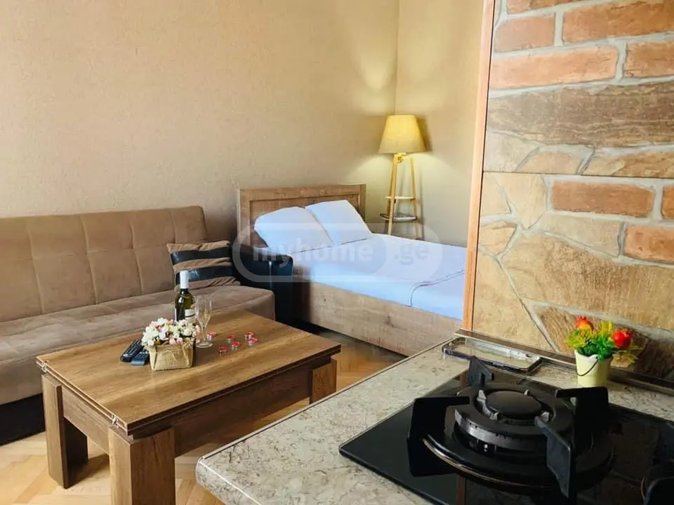 1 Room Apartment Daily Rent In Borjomi view 4