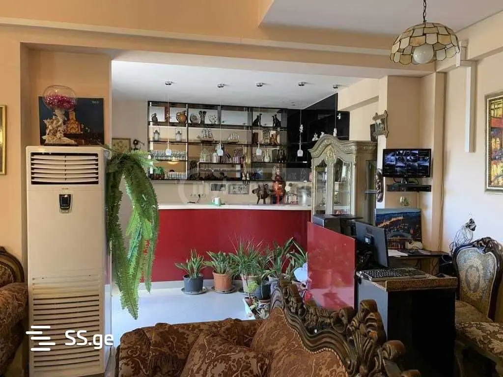 10+ Room Private House For Rent In Nadzaladevi view 4