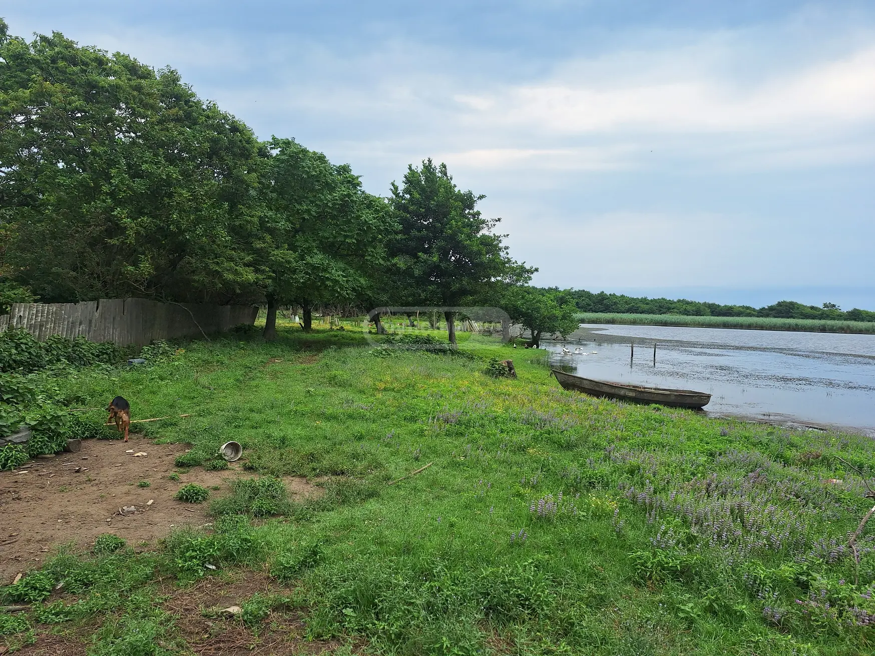 Non-Agricultural Plot For Sale In Grigoleti, In Lanchkhuti Municipality view 1