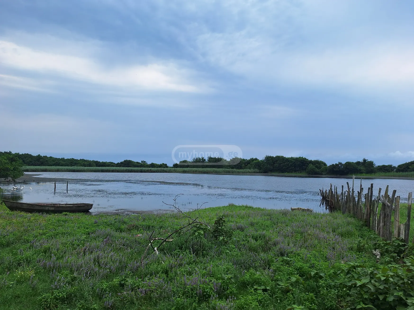 Non-Agricultural Plot For Sale In Grigoleti, In Lanchkhuti Municipality view 2