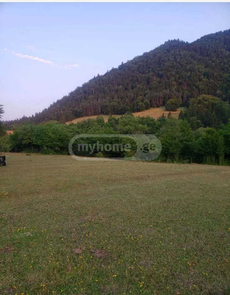 Non-Agricultural Plot For Sale In Sadgeri, In Borjomi Municipality view 3