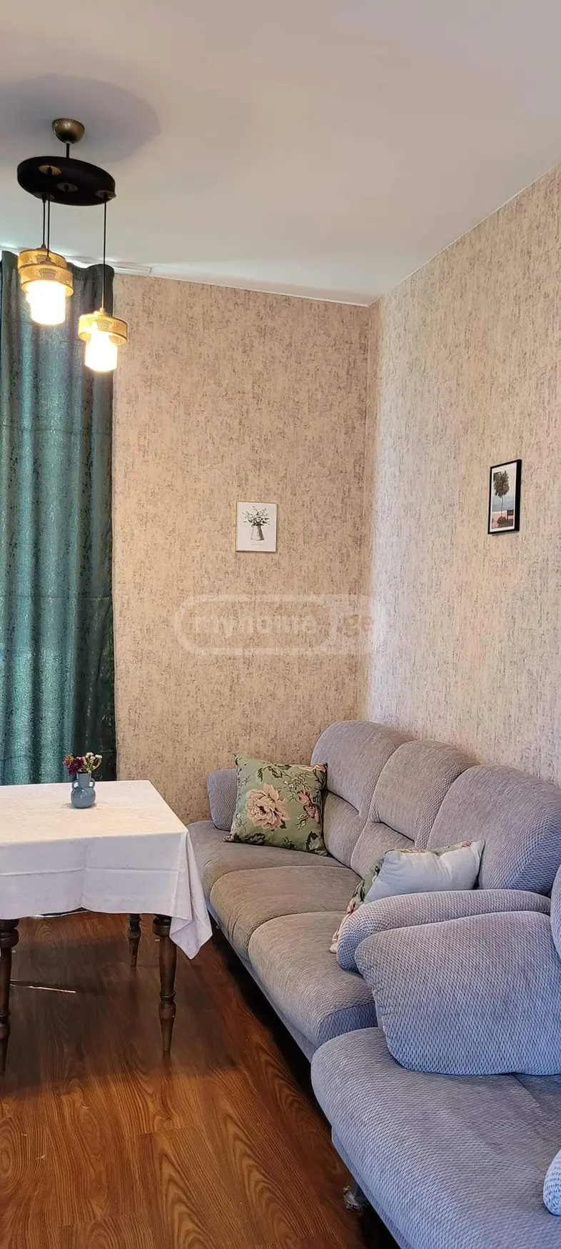 3 Room Private House Daily Rent In Mtskheta view 9