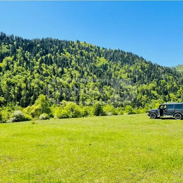 Non-Agricultural Plot For Sale In Sadgeri, In Borjomi Municipality view 6