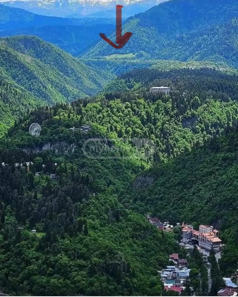 Non-Agricultural Plot For Sale In Sadgeri, In Borjomi Municipality view 7