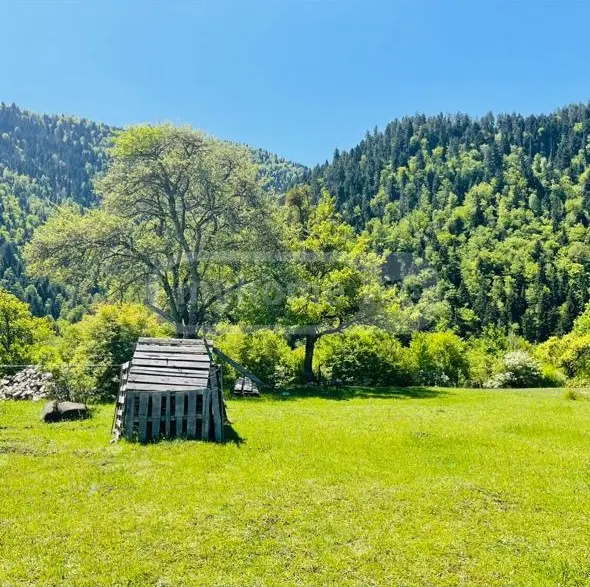 Non-Agricultural Plot For Sale In Sadgeri, In Borjomi Municipality view 5