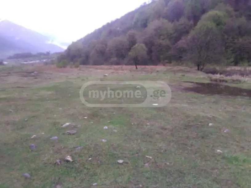 Agricultural Plot For Sale In Dusheti view 2