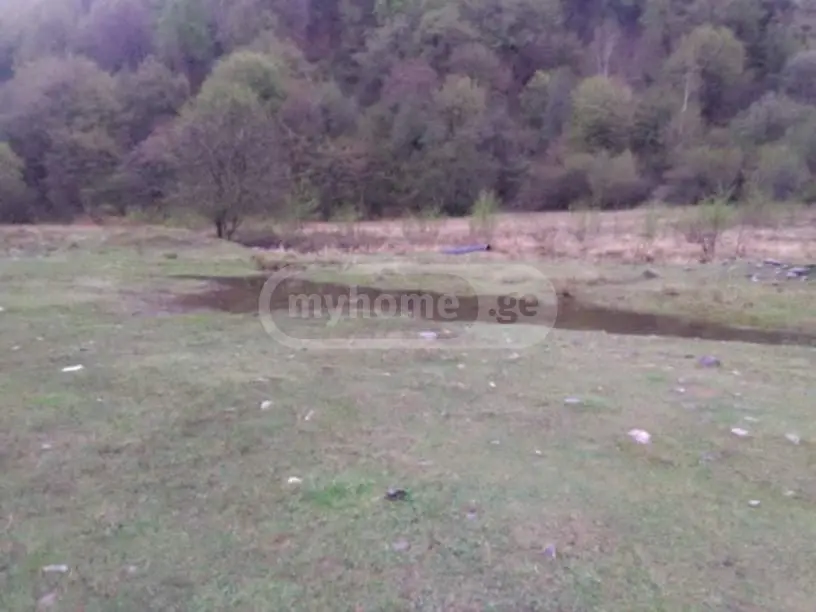 Agricultural Plot For Sale In Dusheti view 1