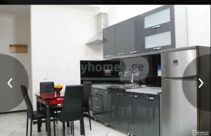 2 Room Apartment For Rent In Saburtalo view 1