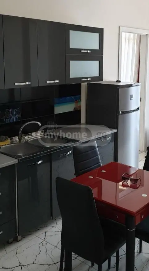 2 Room Apartment For Rent In Saburtalo view 4