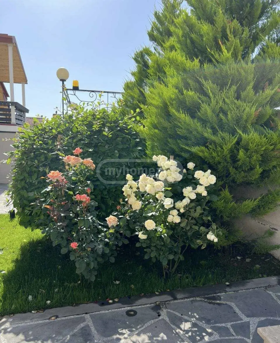 8 Room Private House For Rent In Mtatsminda view 7