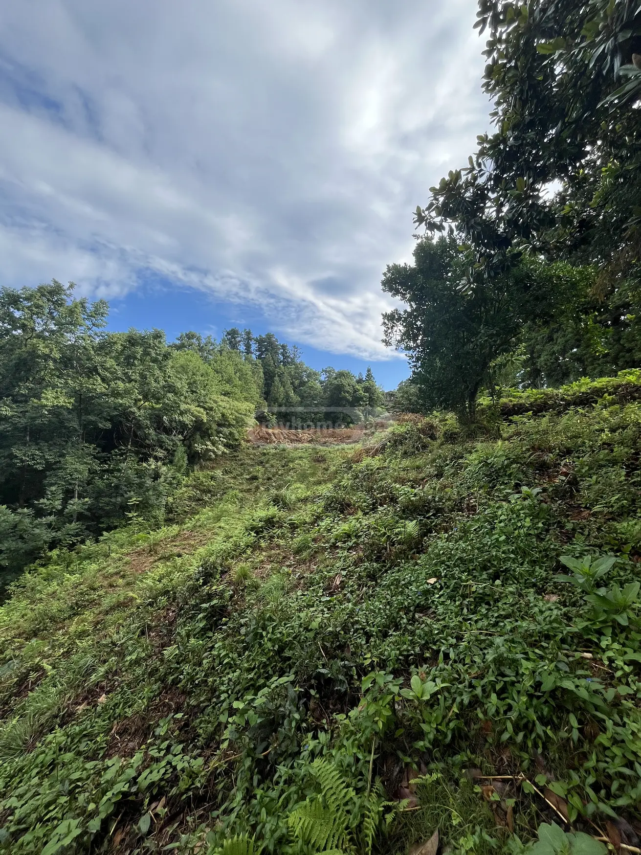 იყიდება Investment / For Construction Plot In Kapreshumi, In Khelvachauri Municipalityში view 5