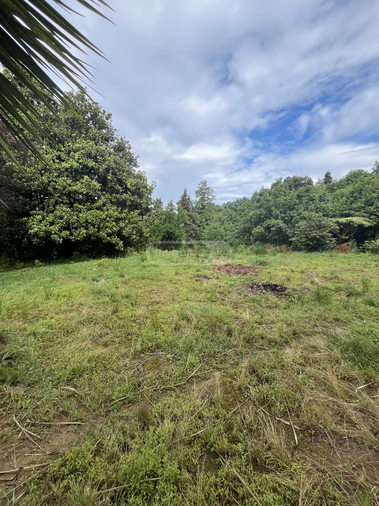 იყიდება Investment / For Construction Plot In Kapreshumi, In Khelvachauri Municipalityში view 3