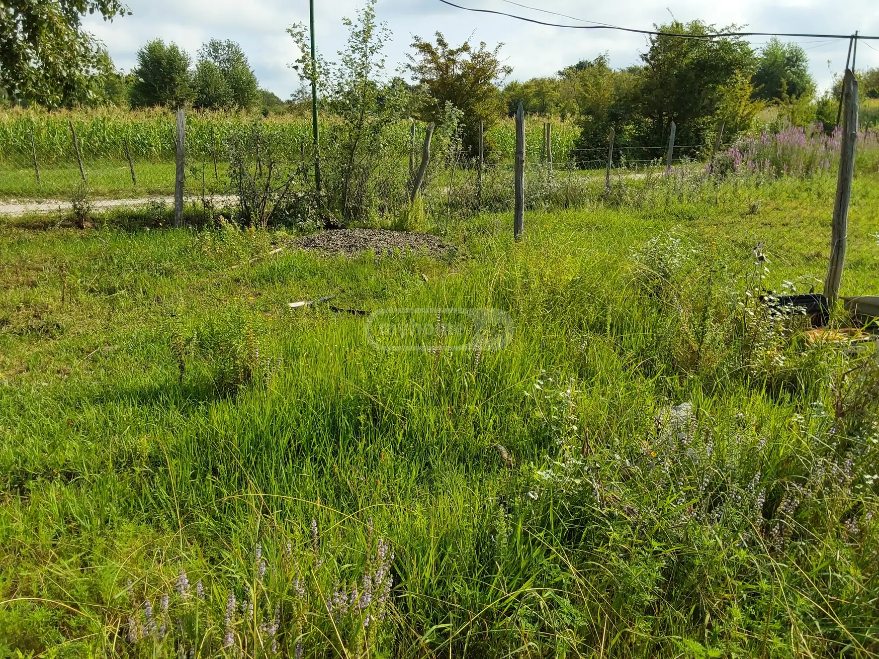 იყიდება Manufacturing Commercial Area In Zestaphoniში view 7
