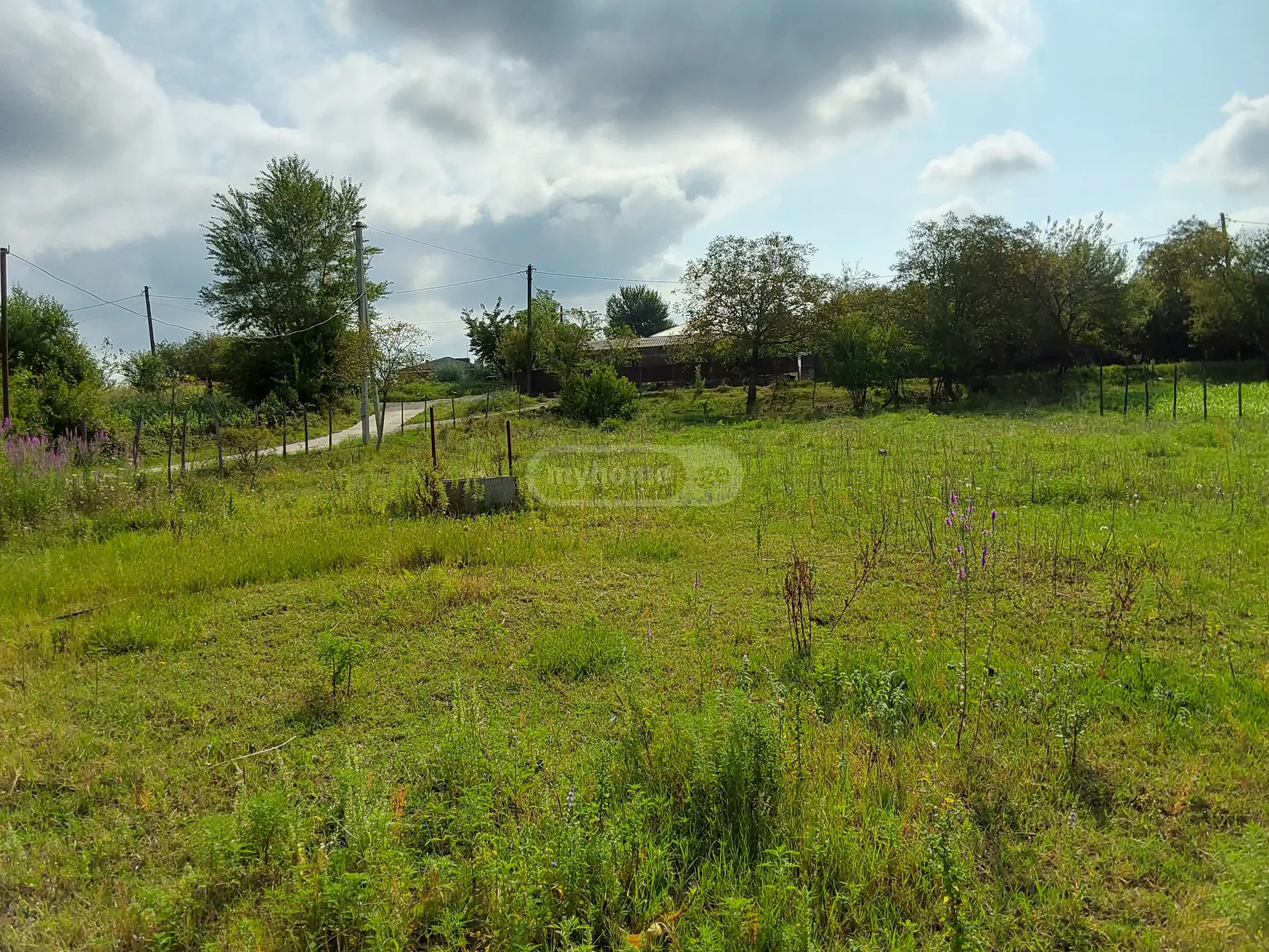 იყიდება Manufacturing Commercial Area In Zestaphoniში view 3