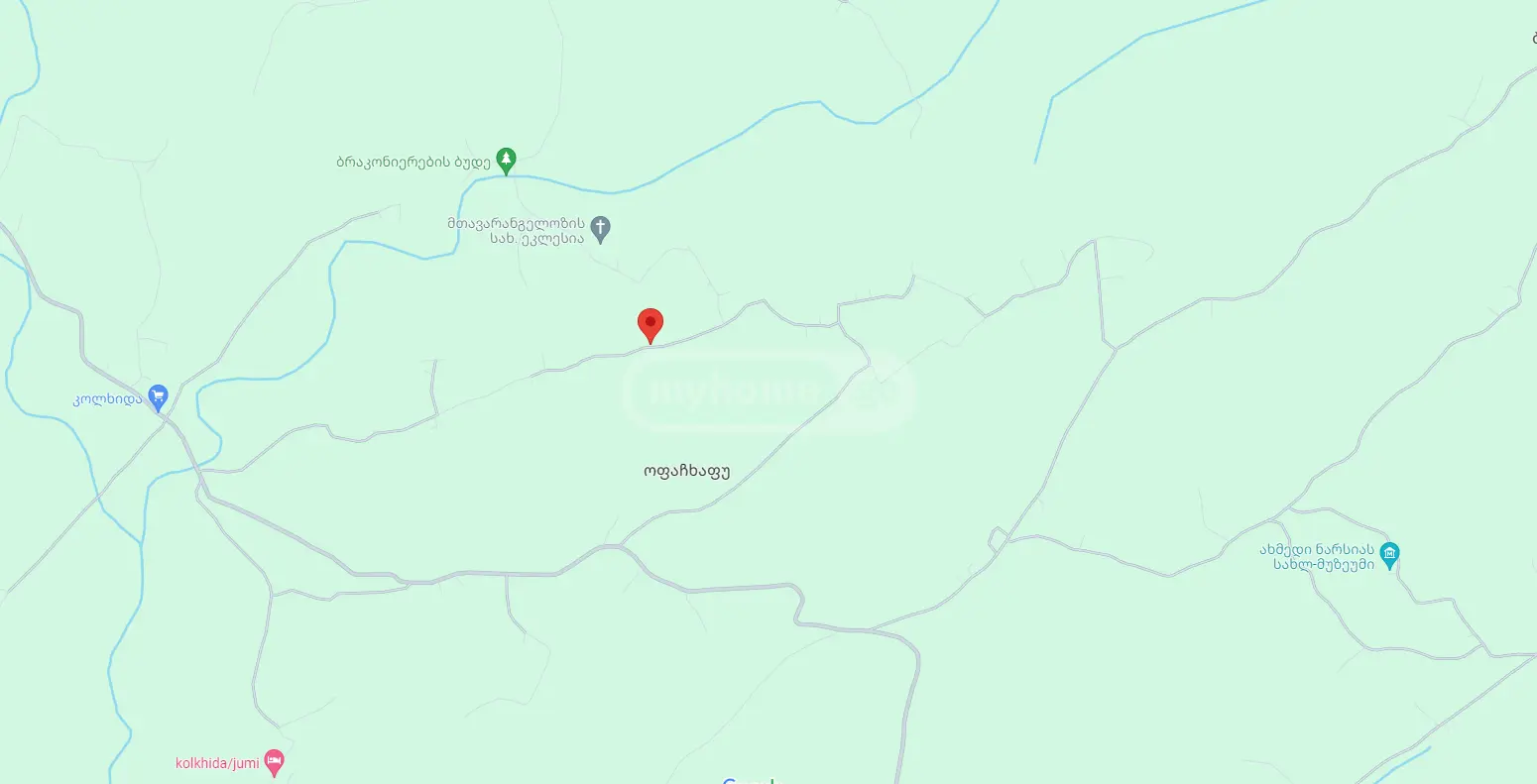 Agricultural Plot For Sale In Zugdidi view 6