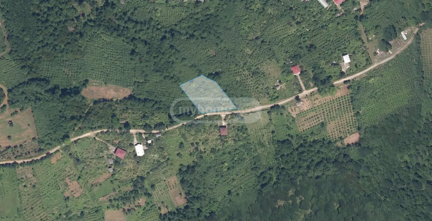 Agricultural Plot For Sale In Zugdidi view 7