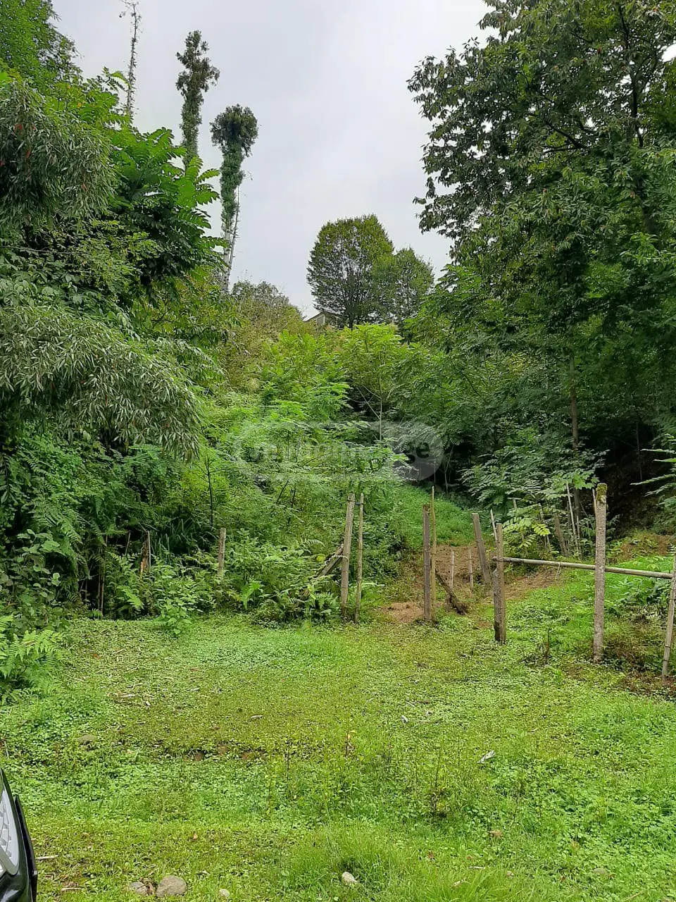 Agricultural Plot For Sale In Kobuleti view 2