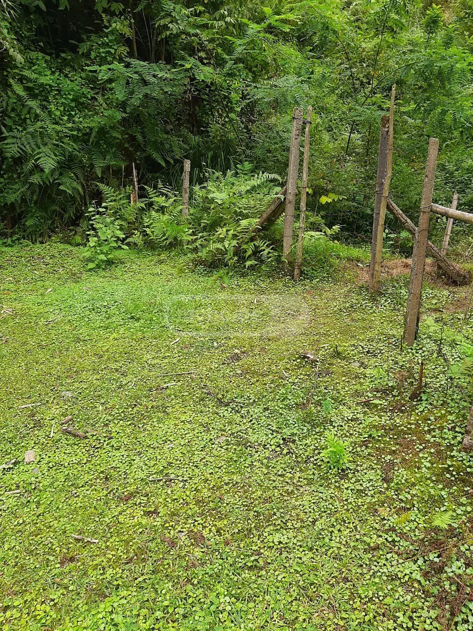 Agricultural Plot For Sale In Kobuleti view 3