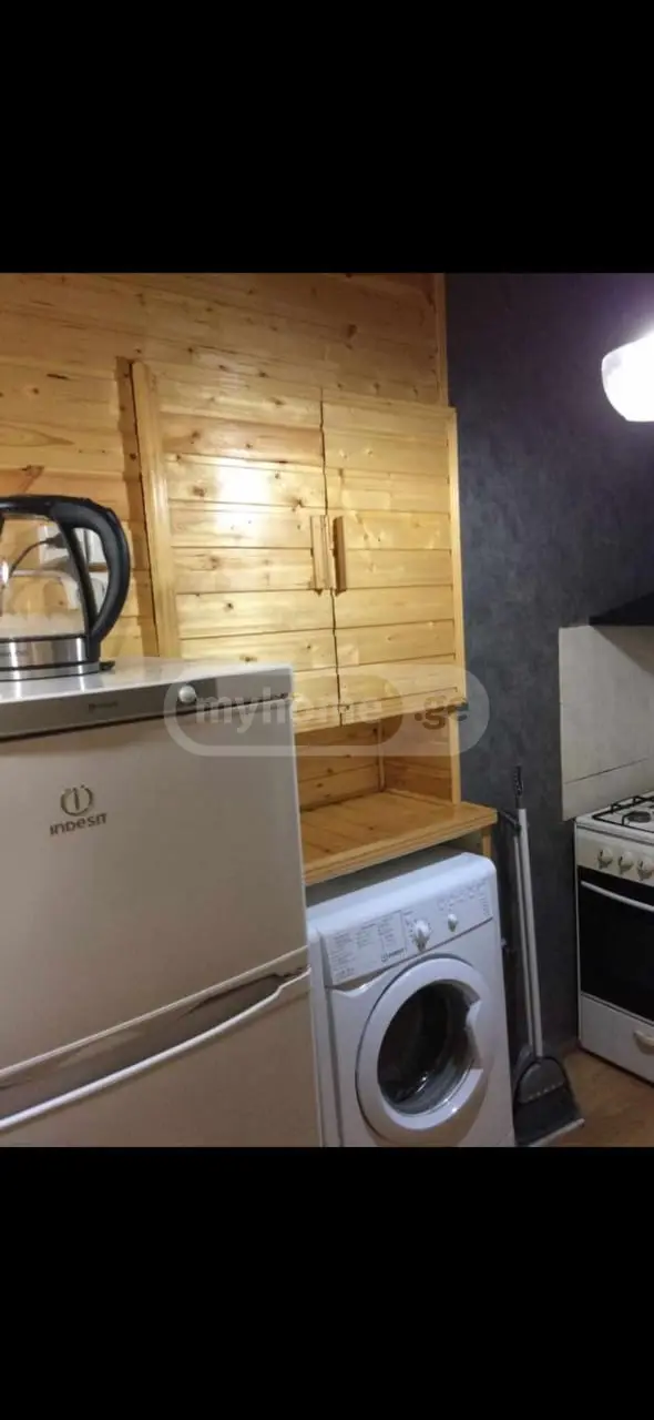 3 Room Apartment For Rent In Mtatsminda view 3