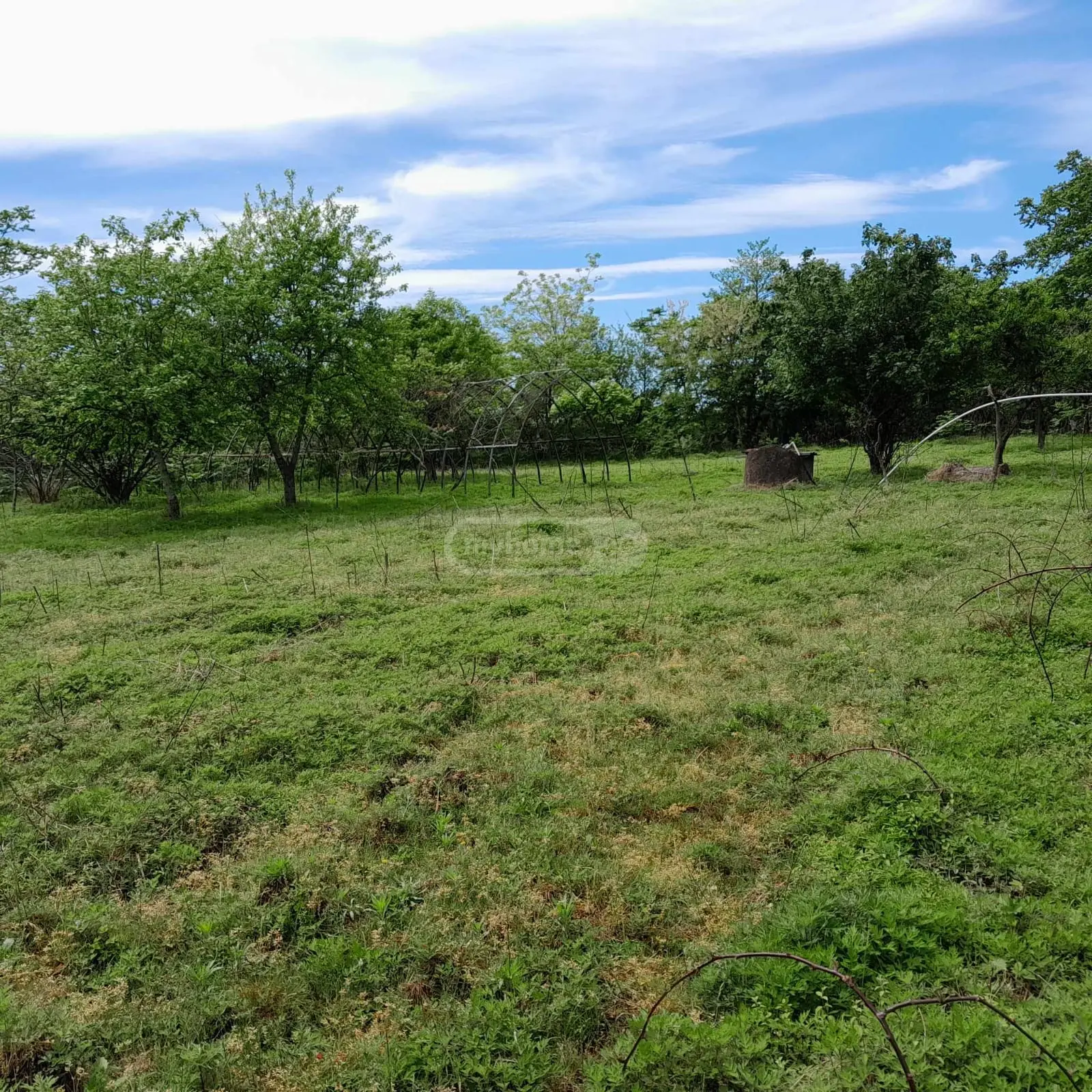 იყიდება Agricultural Plot In Grigoleti, In Lanchkhuti Municipalityში view 6