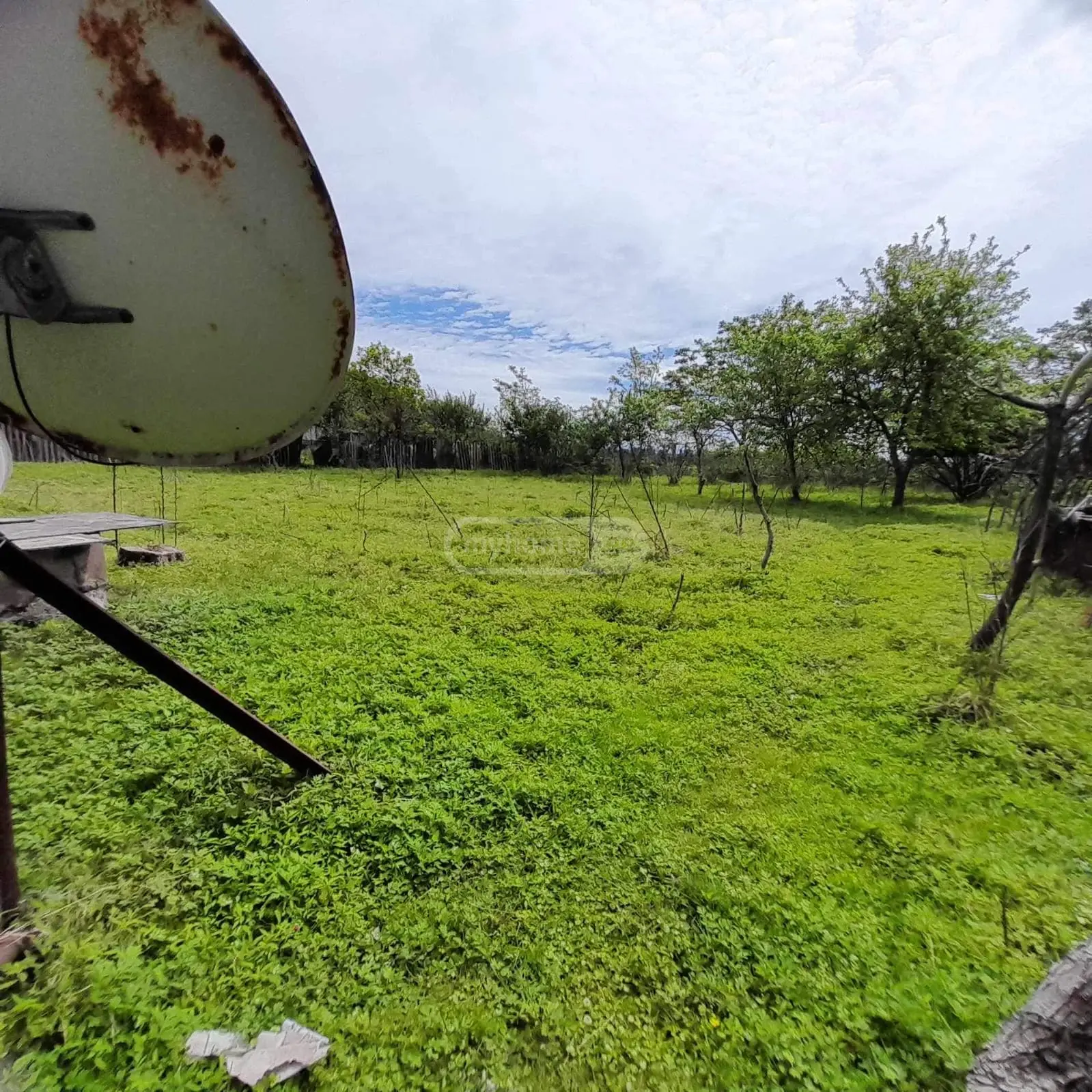 იყიდება Agricultural Plot In Grigoleti, In Lanchkhuti Municipalityში view 2