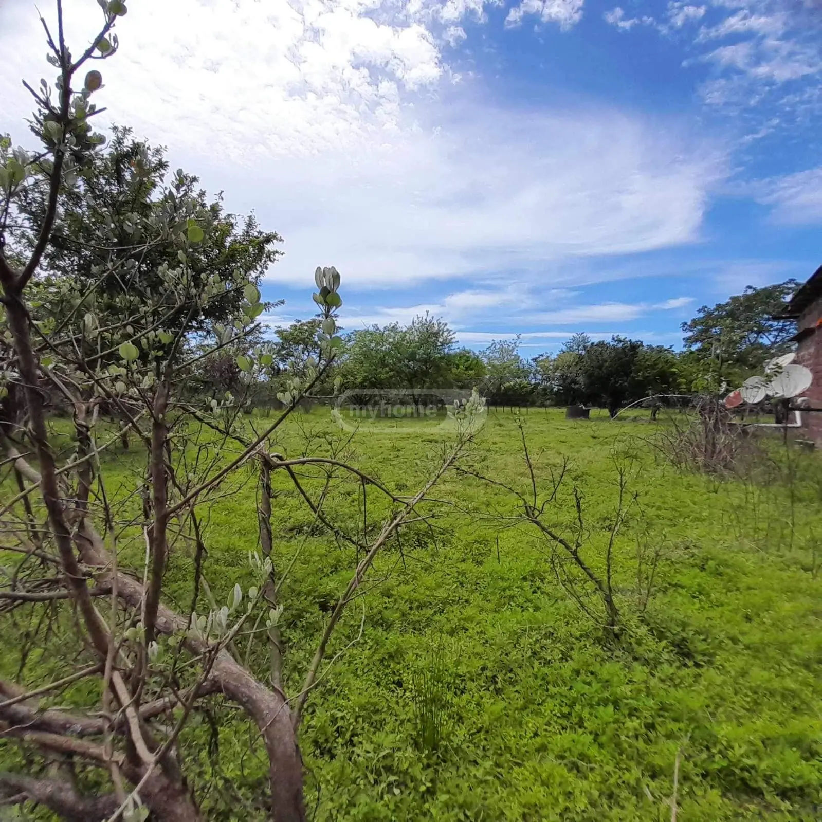 იყიდება Agricultural Plot In Grigoleti, In Lanchkhuti Municipalityში view 1