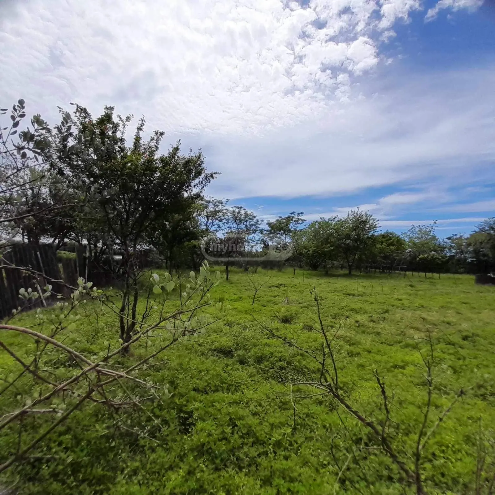 იყიდება Agricultural Plot In Grigoleti, In Lanchkhuti Municipalityში view 3