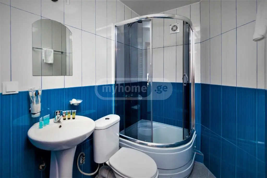 10+ Room Hotel For Sale In Avlabari view 8