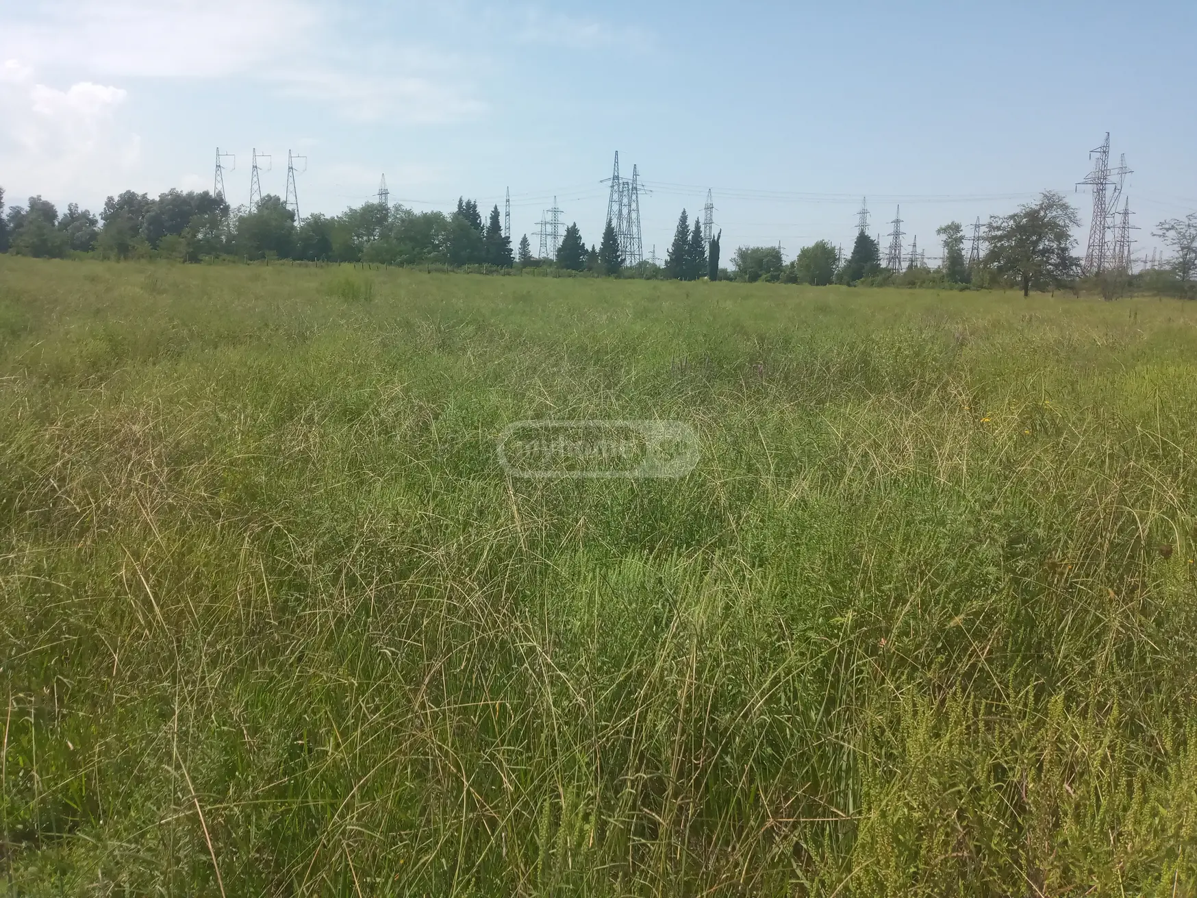 იყიდება Agricultural Plot In Zestaphoniში view 4