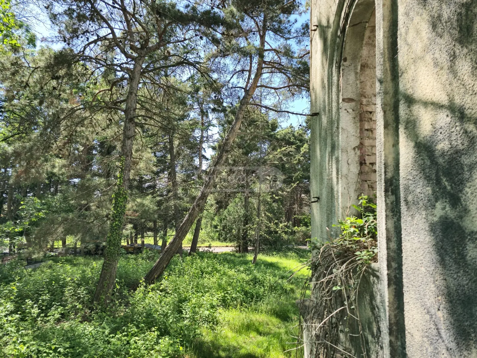 Non-Agricultural Plot For Sale In Gardabani view 8