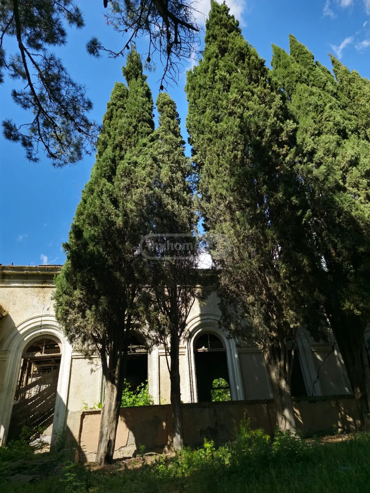 Non-Agricultural Plot For Sale In Gardabani view 3