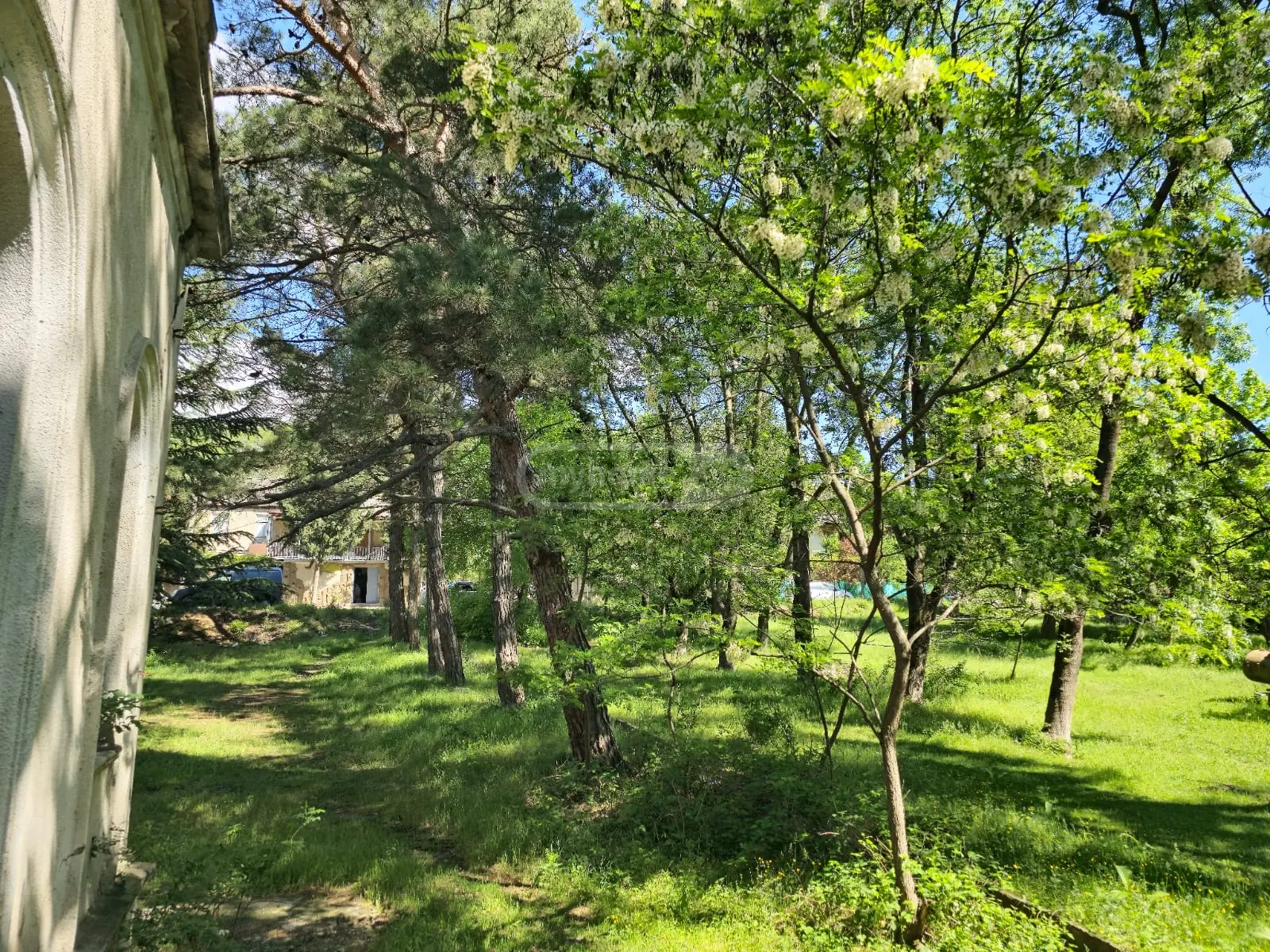 Non-Agricultural Plot For Sale In Gardabani view 7