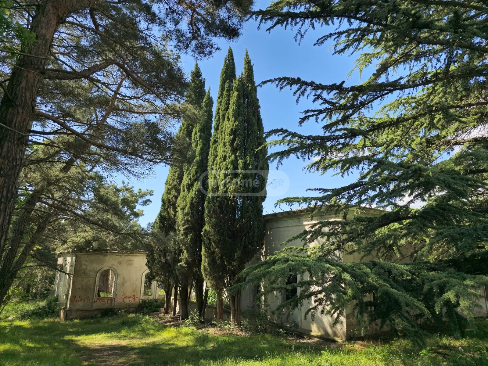 Non-Agricultural Plot For Sale In Gardabani view 2